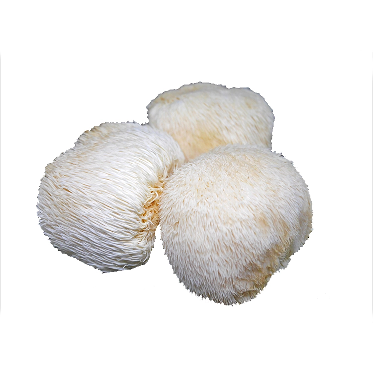 Organic Lion's Mane Mushroom Extract