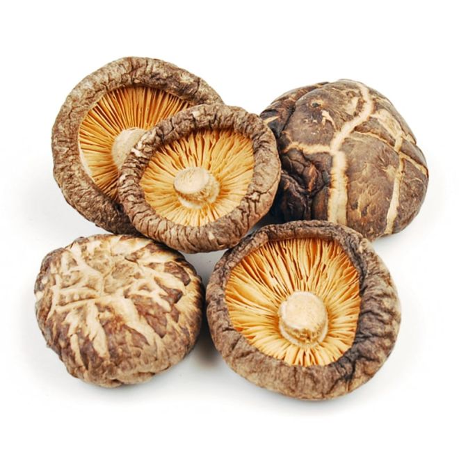 How Shiitake Mushrooms Help Cancer Patients: Nutritional and Anti-Tumor Insights