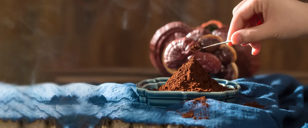Ganoderma Lucidum