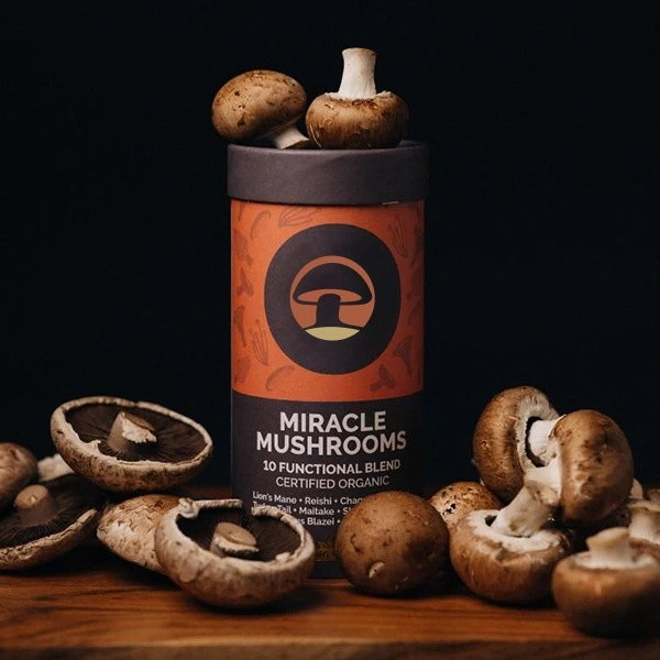 Mushroom extract powder for bulk ingredient supply