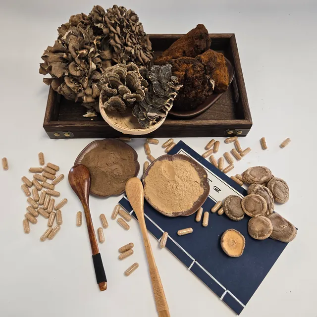 Capsules for mushroom supplement applications