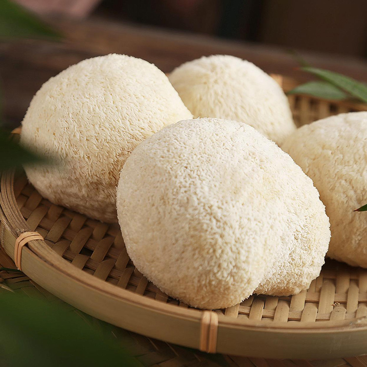 Lion's Mane Hericium Extract: Brain Health & Cognitive Boost Supplement